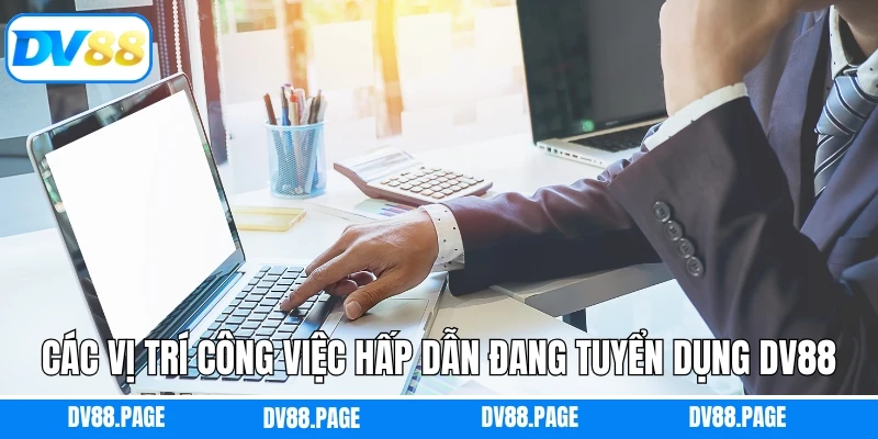 Các vị trí công việc hấp dẫn đang tuyển dụng Dv88