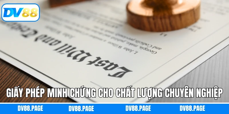 Giấy phép minh chứng cho chất lượng chuyên nghiệp