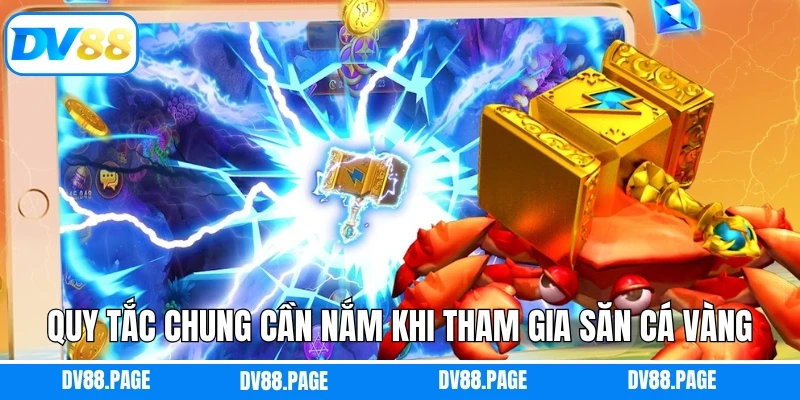 Quy tắc chung cần nắm khi tham gia săn cá vàng hiệu quả