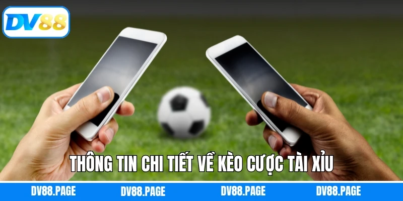 Thông tin chi tiết về kèo cược tài xỉu